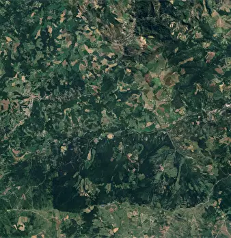 Foto annuncio 20
