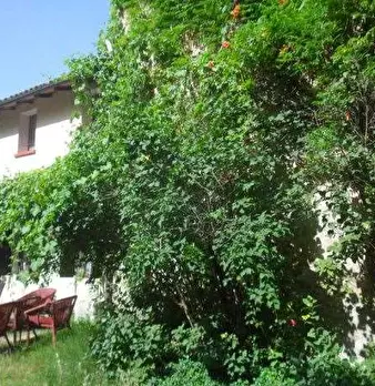 Foto annuncio 1