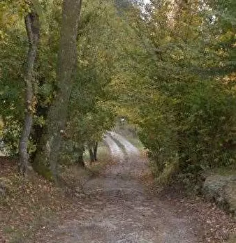 Foto annuncio 11