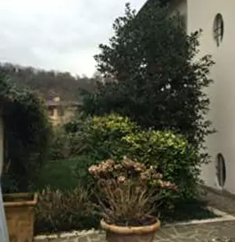 Foto annuncio 12