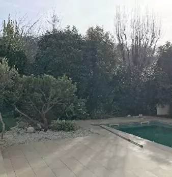 Foto annuncio 13