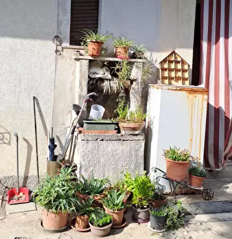 Foto annuncio 3