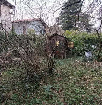 Foto annuncio 6