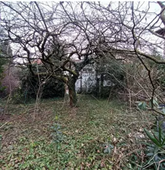 Foto annuncio 8