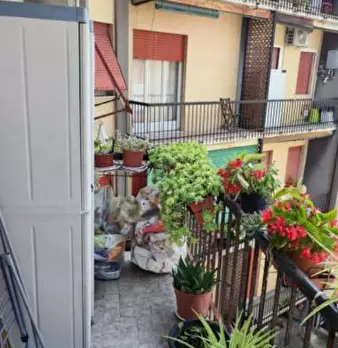 Foto annuncio 6