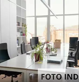 Foto annuncio 8