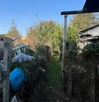 Foto annuncio 7