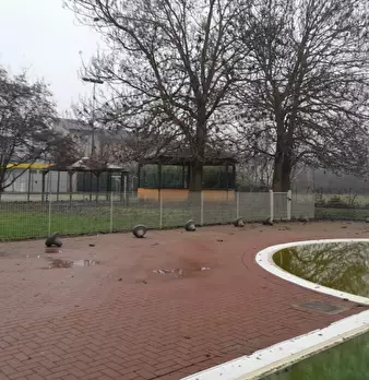 Foto annuncio 7