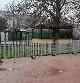 Foto annuncio 8