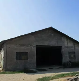 Foto annuncio 9