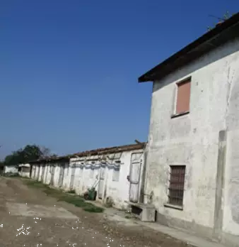 Foto annuncio 15