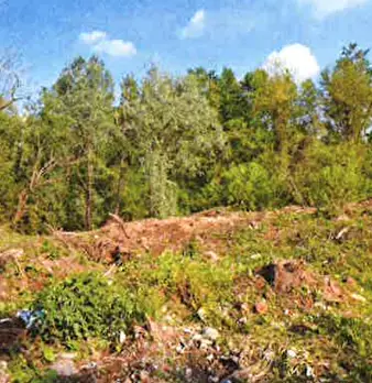 Foto annuncio 1