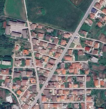 Foto annuncio 17