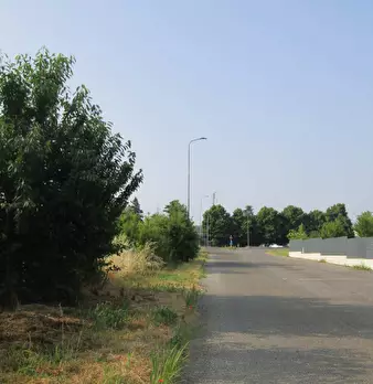 Foto annuncio 1