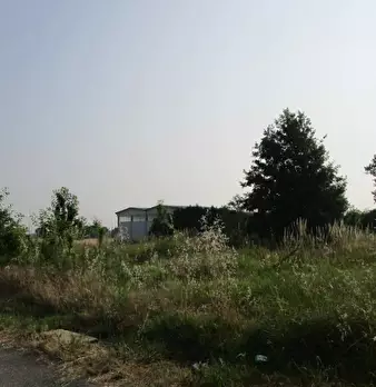 Foto annuncio 10