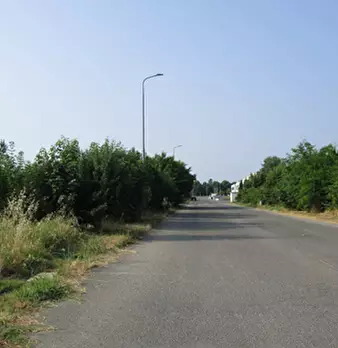 Foto annuncio 7