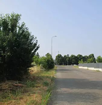Foto annuncio 2