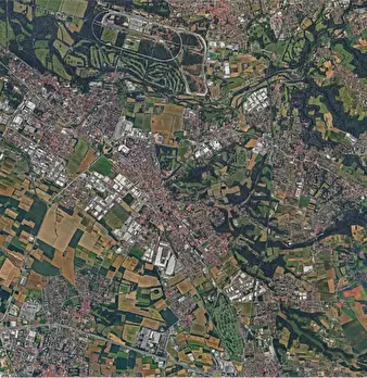 Foto annuncio 9