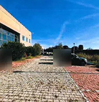 Foto annuncio 10
