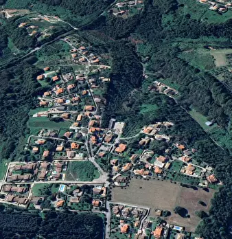 Foto annuncio 7