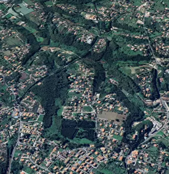 Foto annuncio 9