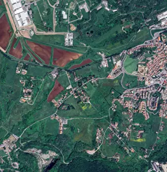 Foto annuncio 5