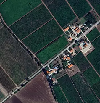 Foto annuncio 7