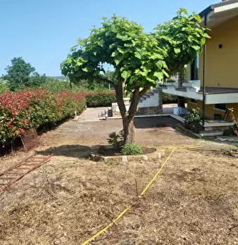 Foto annuncio 7