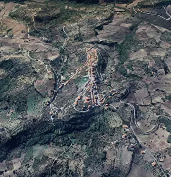 Foto annuncio 9