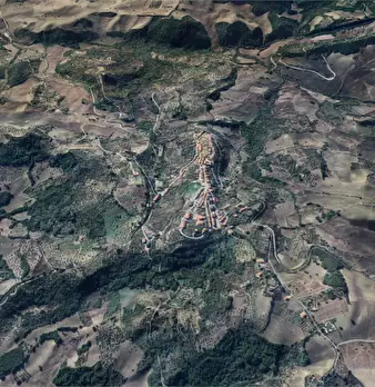 Foto annuncio 10