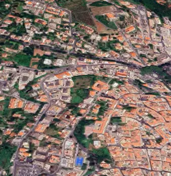 Foto annuncio 11