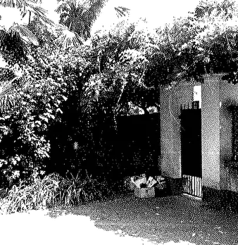 Foto annuncio 5