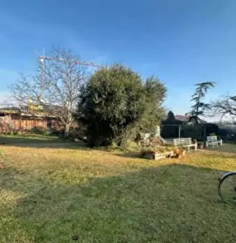 Foto annuncio 2