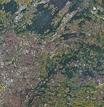 Foto annuncio 11