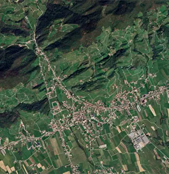 Foto annuncio 12