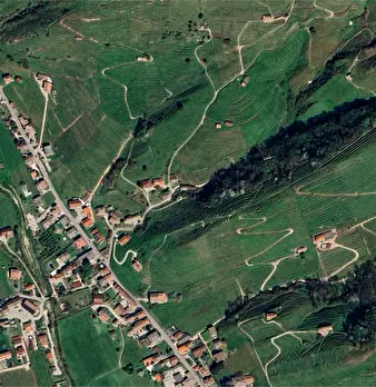 Foto annuncio 18