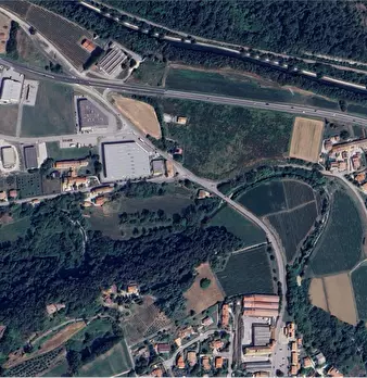 Foto annuncio 12