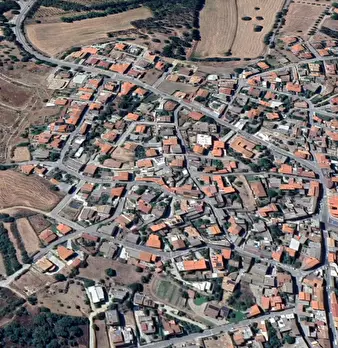 Foto annuncio 11