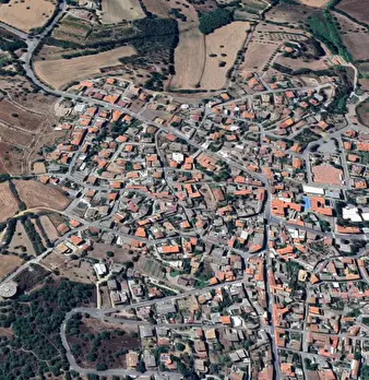 Foto annuncio 12