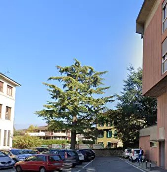Foto annuncio 7