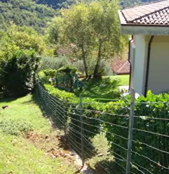 Foto annuncio 4