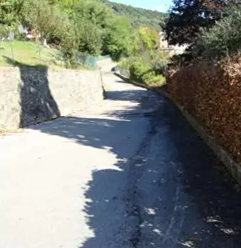 Foto annuncio 7