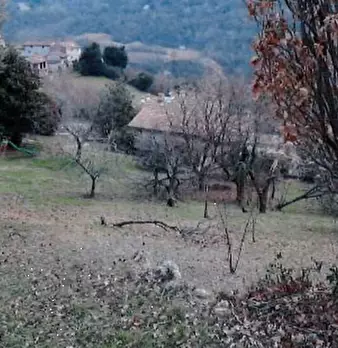 Foto annuncio 11
