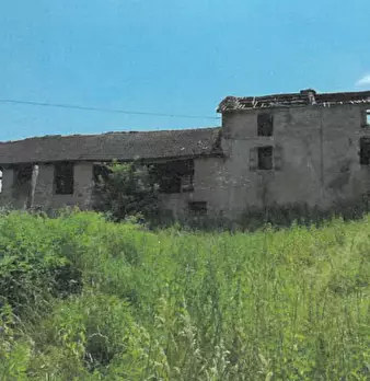 Foto annuncio 3