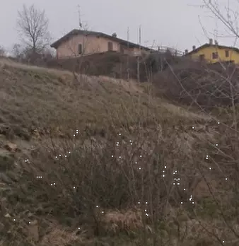 Foto annuncio 5