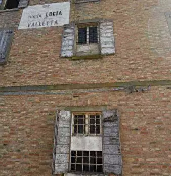 Foto annuncio 12