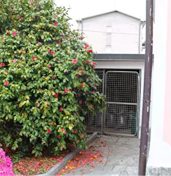 Foto annuncio 10