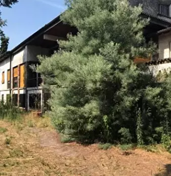 Foto annuncio 1