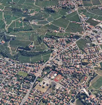 Foto annuncio 19