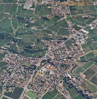 Foto annuncio 20